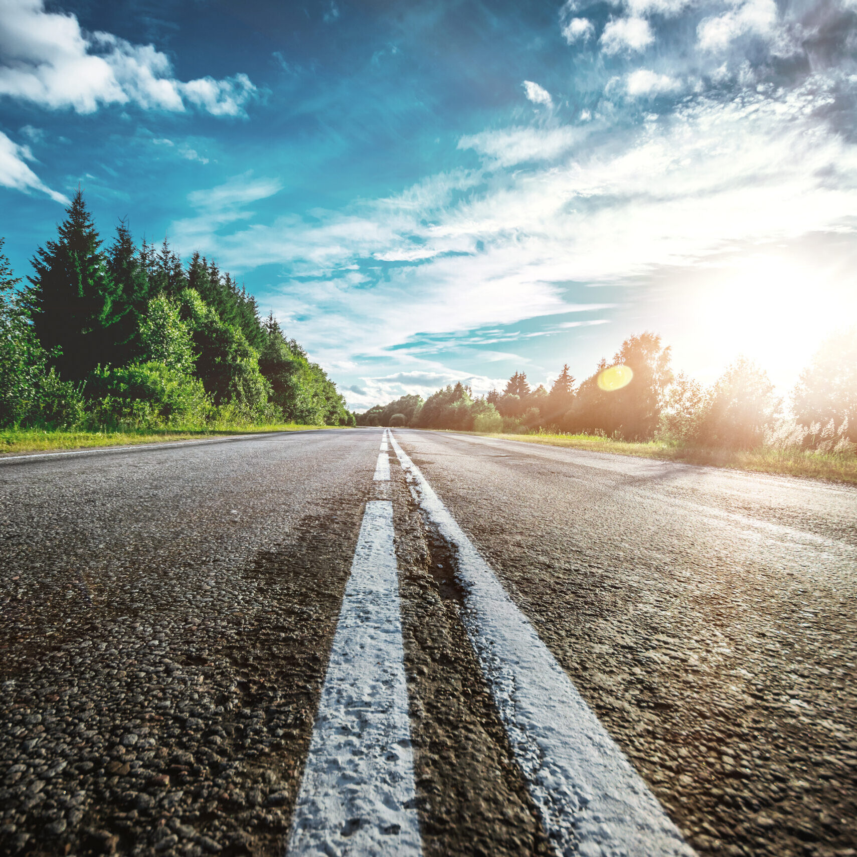 Sunrise beautiful road in forest. Summer landscape